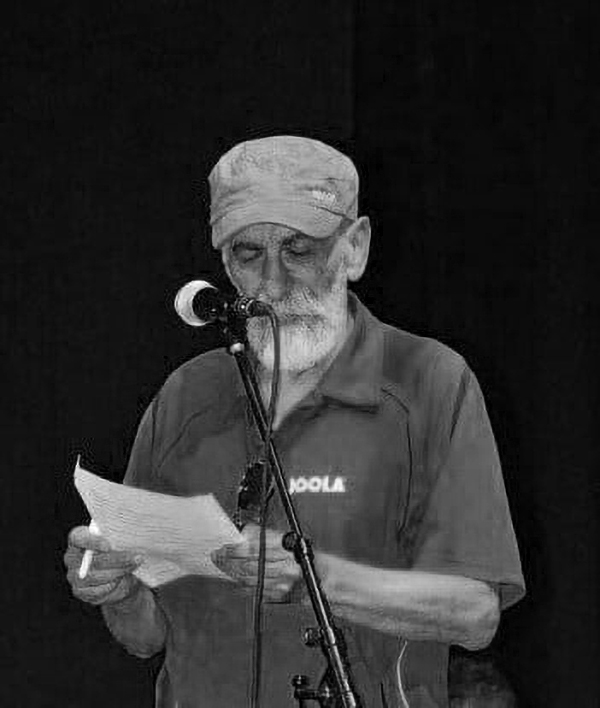 Bojan Bogdanović Plovidba zeničkog Sindbada kroz more satire