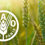 FAO upozorava na opasnost od ugrožavanja snabdijevanja hranom u svijetu