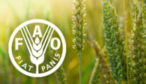 FAO upozorava na opasnost od ugrožavanja snabdijevanja hranom u svijetu