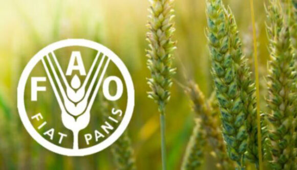 FAO upozorava na opasnost od ugrožavanja snabdijevanja hranom u svijetu