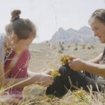 Film 'Planina' premijerno pred evropskom publikom u Kopenhagenu