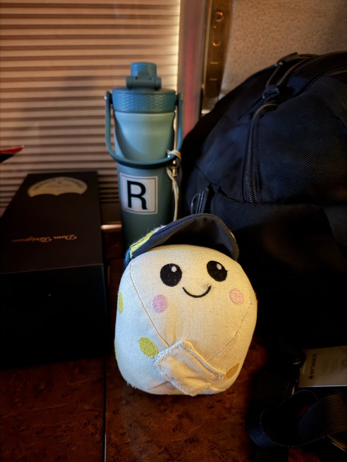 Astronaut Rid Vajsmen je maskotu misije Artemis II ponio sa sobom