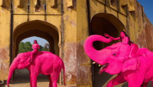 Uginuo slon obojen u rozo